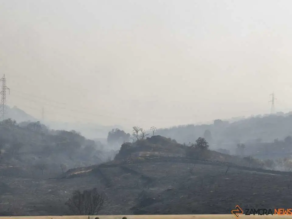 FERMOSELLE FUEGO SAYAGO _58