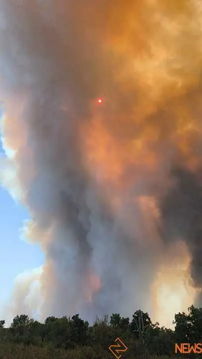 FERMOSELLE FUEGO SAYAGO _59