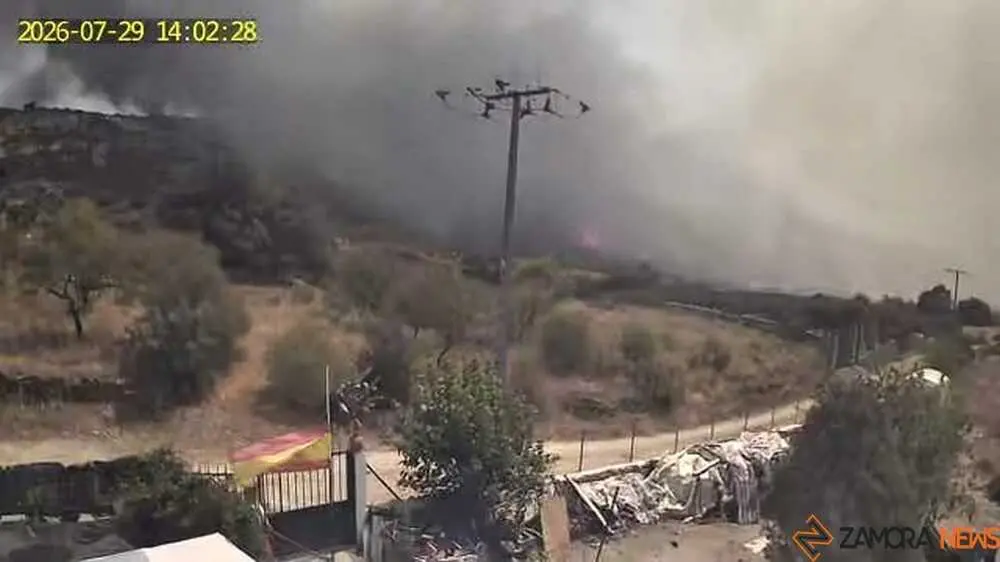 FERMOSELLE FUEGO SAYAGO _65