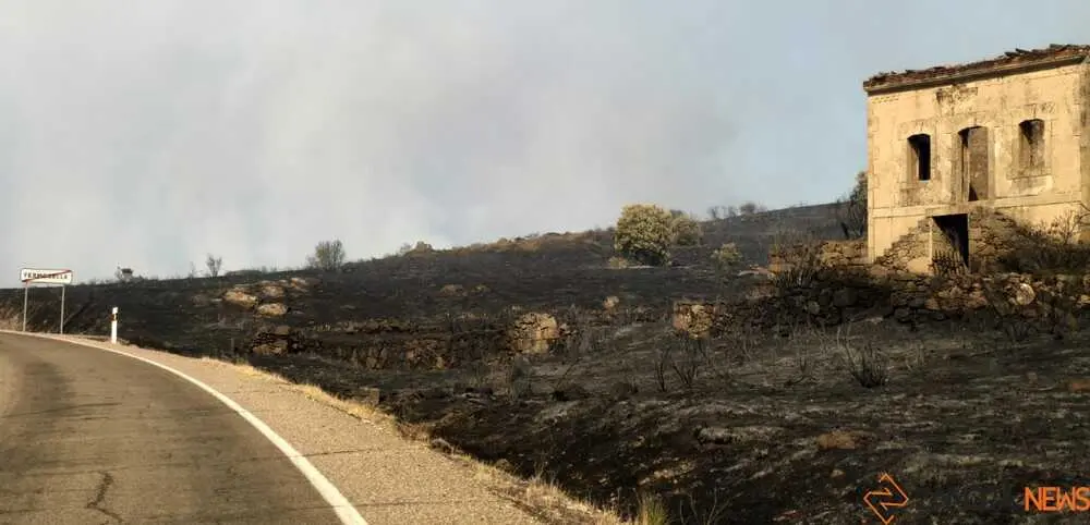 FERMOSELLE FUEGO SAYAGO _66