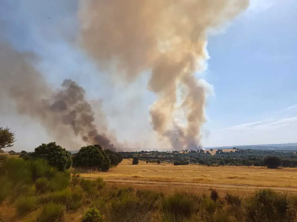 incendio Sayago zona m&aacute;moles