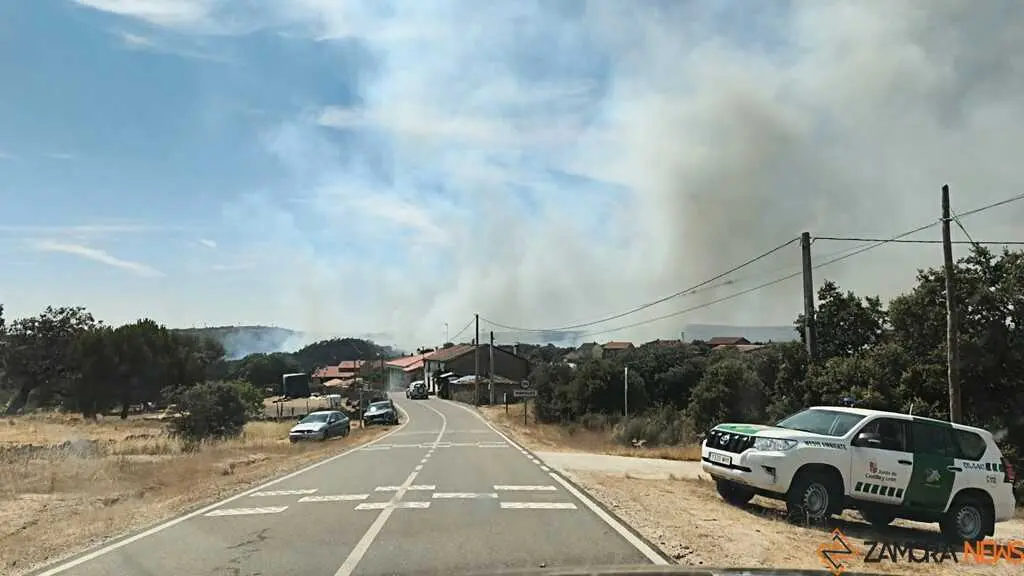 incendio M&aacute;moles en Fermoselle 