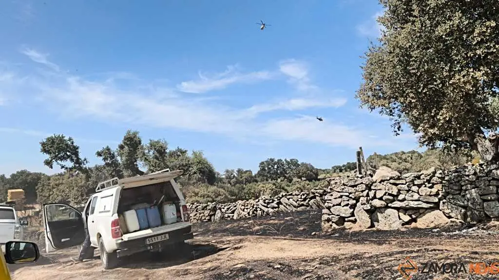 incendio M&aacute;moles en Fermoselle _10