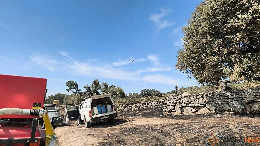 incendio M&aacute;moles en Fermoselle _12