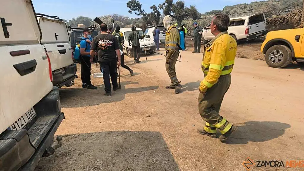incendio M&aacute;moles en Fermoselle _15