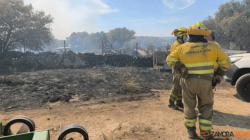 incendio M&aacute;moles en Fermoselle _3