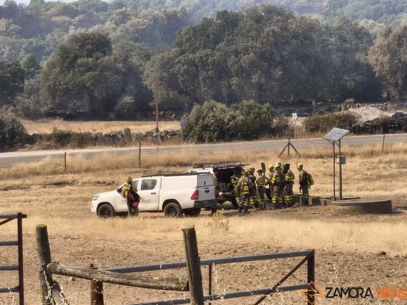 incendio M&aacute;moles en Fermoselle _2