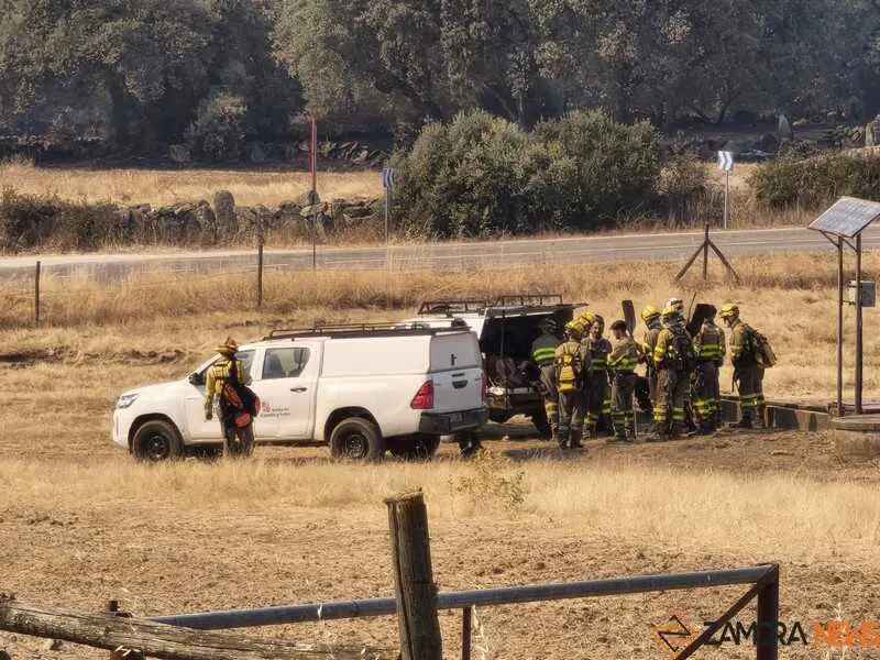 incendio M&aacute;moles en Fermoselle _3
