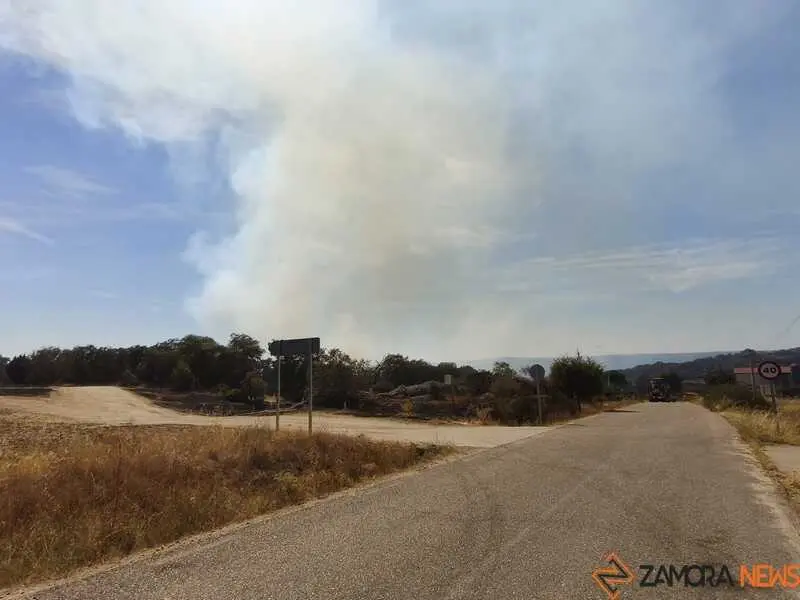 incendio M&aacute;moles en Fermoselle _4