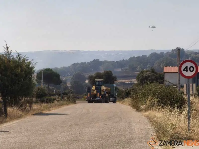 incendio M&aacute;moles en Fermoselle _5