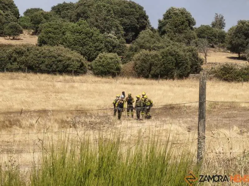 incendio M&aacute;moles en Fermoselle _7