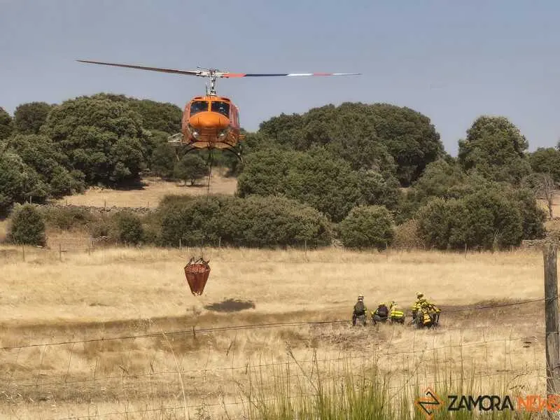 incendio M&aacute;moles en Fermoselle _8