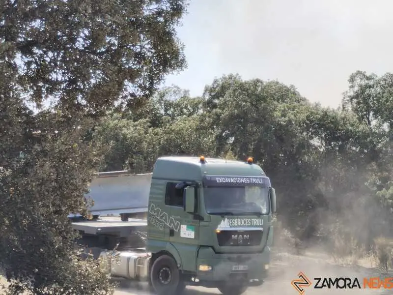 incendio M&aacute;moles en Fermoselle _9