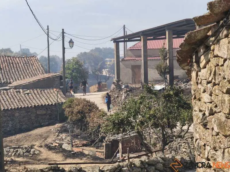 incendio M&aacute;moles en Fermoselle _10