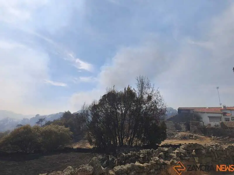 incendio M&aacute;moles en Fermoselle _12
