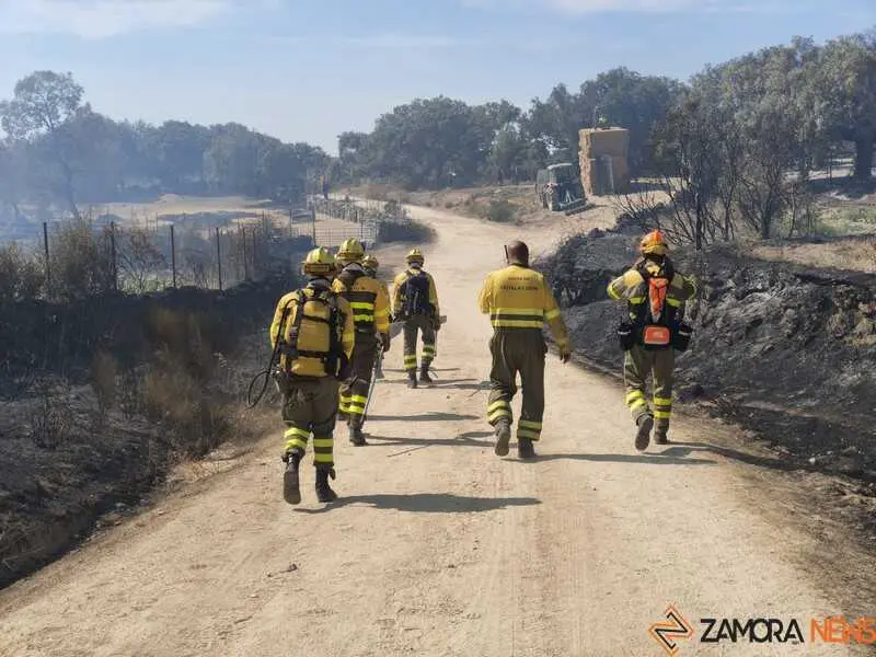 incendio M&aacute;moles en Fermoselle _14