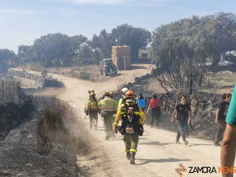 incendio M&aacute;moles en Fermoselle _16