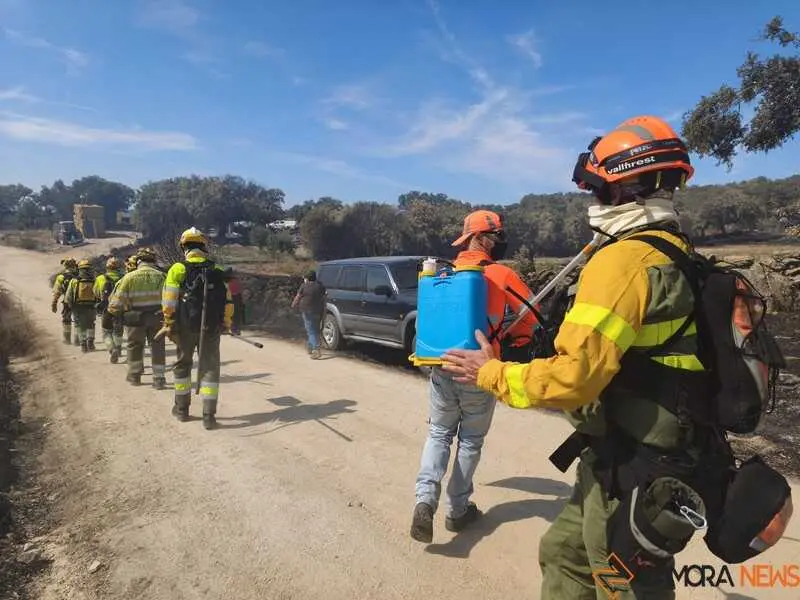 incendio M&aacute;moles en Fermoselle _17