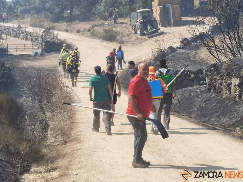 incendio M&aacute;moles en Fermoselle _18