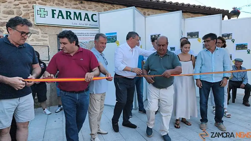 burguer fest Villar del Buey 2026_18