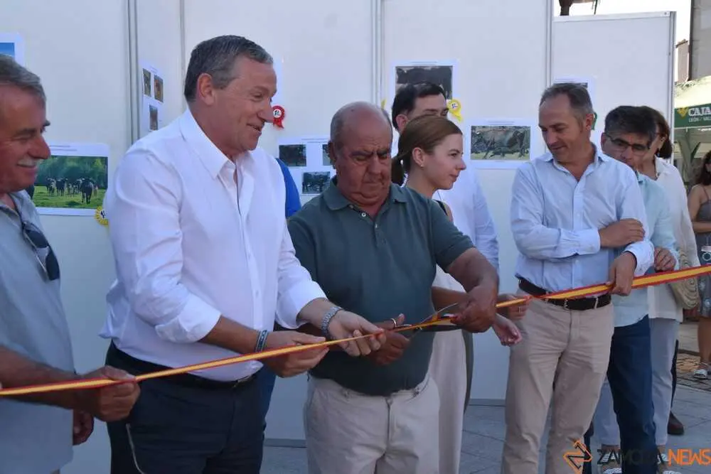 burguer fest Villar del Buey 2026_13