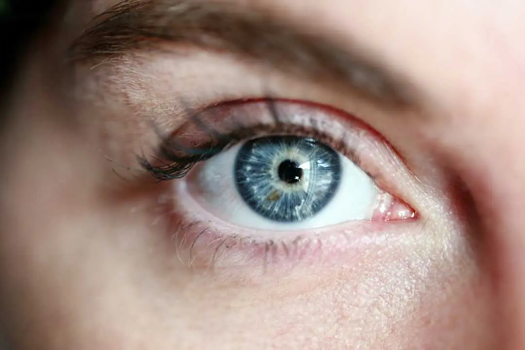 alexandergrey-eye-3805227