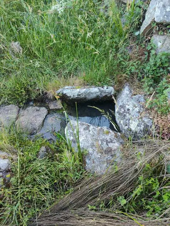 Fuente de Castro de Alca&ntilde;ices