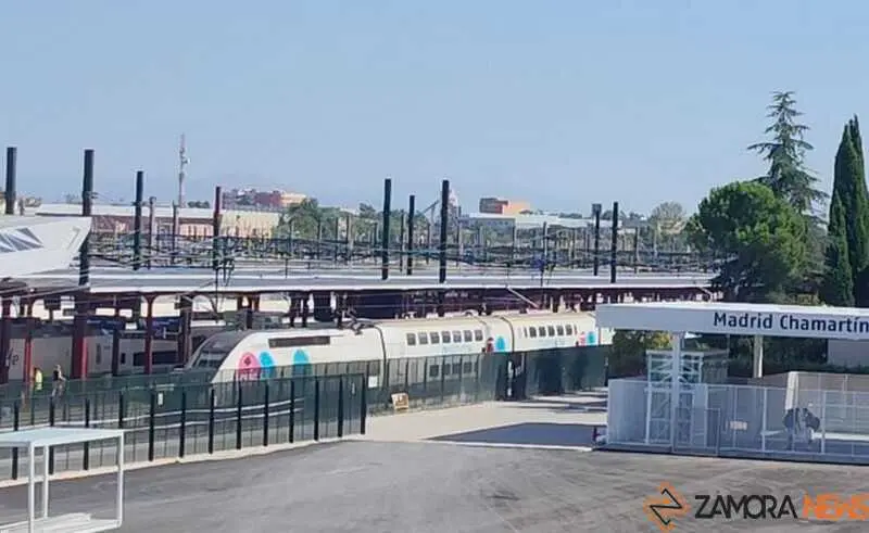 Tren en estaci&oacute;n de Chamart&iacute;n de Madrid