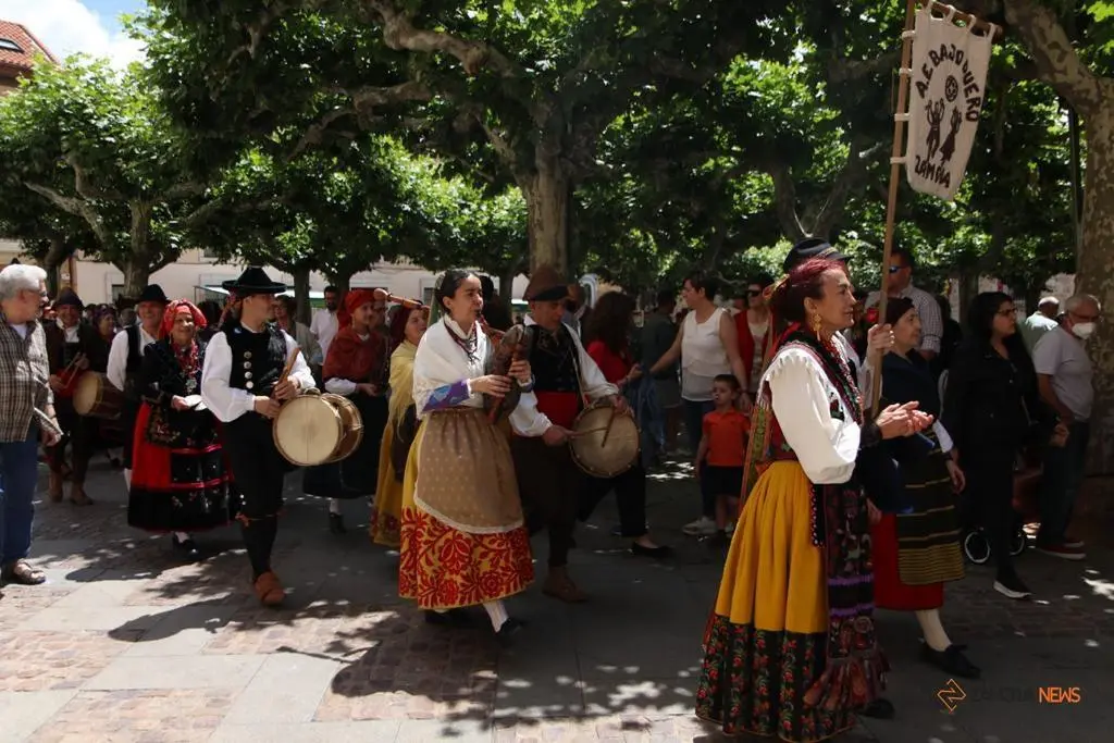 Desfile y actuación musical de grupo de folklore por las calles de Zamora.