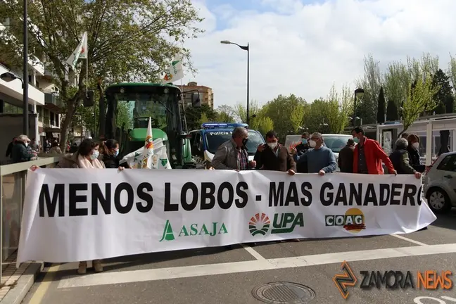 Manifestación en Zamora contra la protección total del lobo. Foto de Archivo