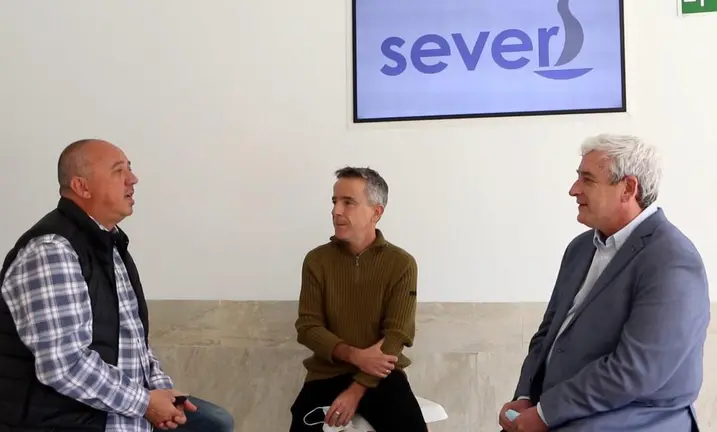sever entrevista