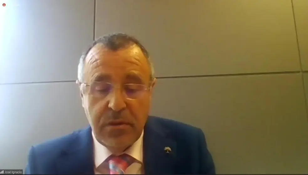 Jose Ignacio Martín Benito, en su comparecencia por Zoom.