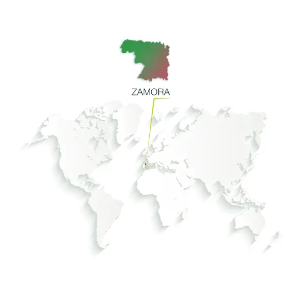 ilustracion mapa