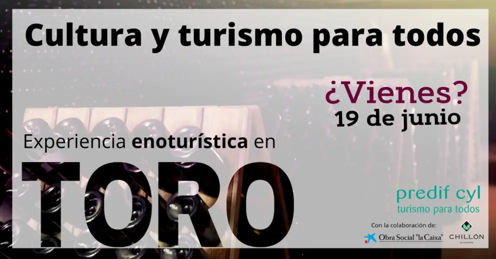 NdP Toro, nuevo destino de las experiencias inclusivas de PREDIF CyL