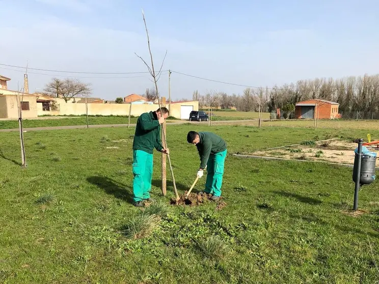 medio rural