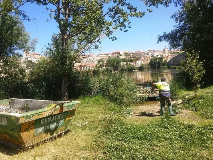 Limpieza río-2