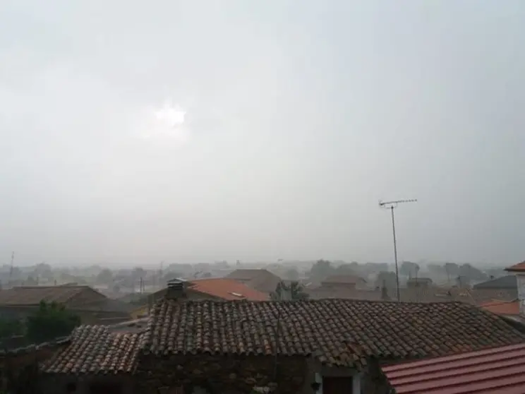 fresno de sayago
