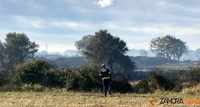 fuego moralina