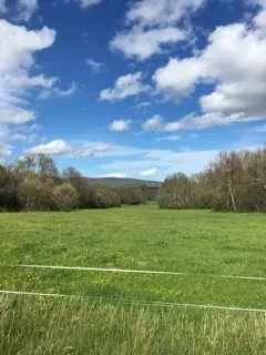 Terrenos en Terroso