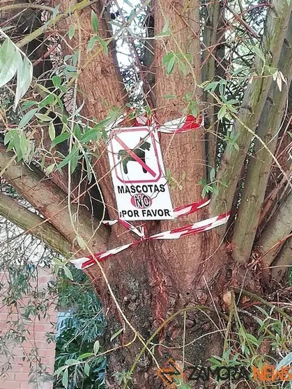 Carteles colocados en los árboles