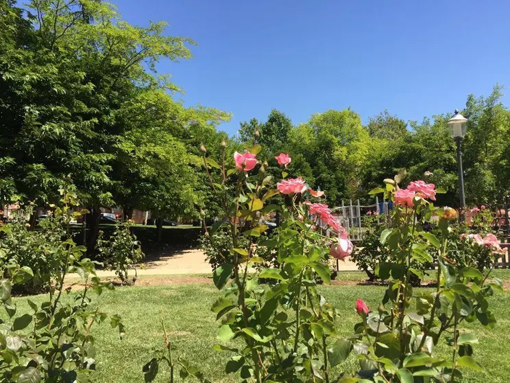 Jardines del parque León Felipe