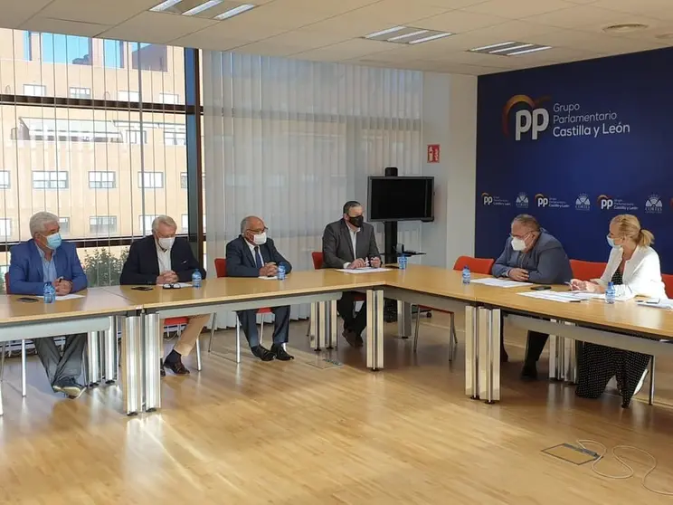 Reunión de alcaldes de Aliste con el PP