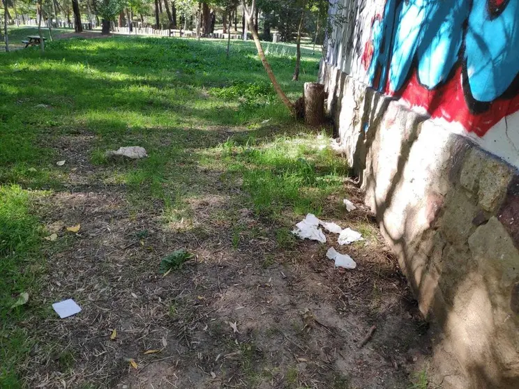 Estado de los servicios del parque de Valorio