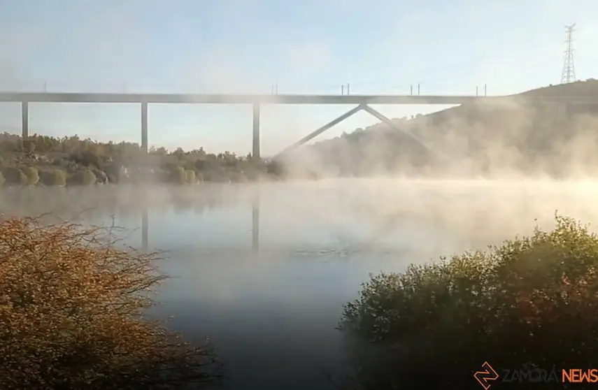 niebla