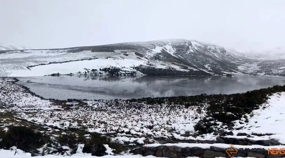 nieve