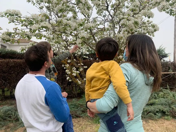 Familias de acogida