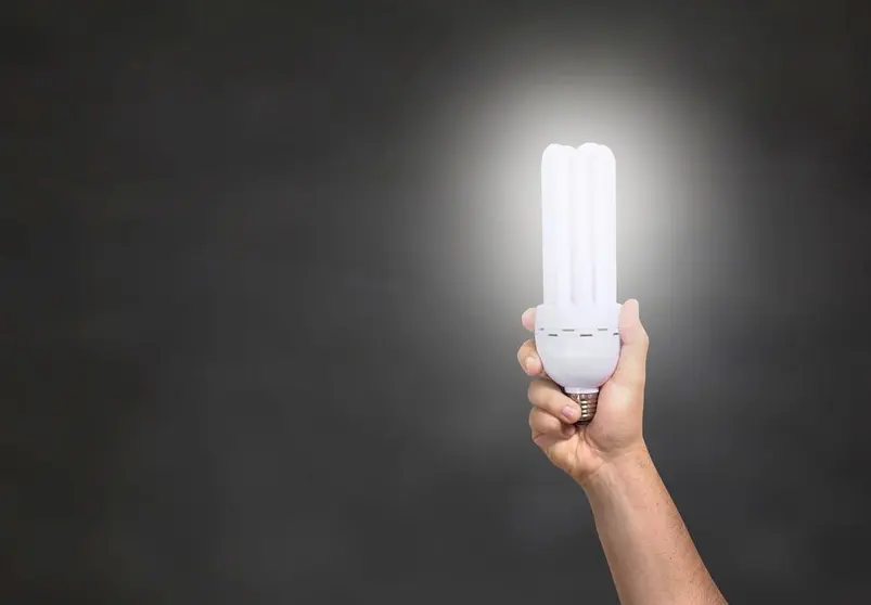 luz