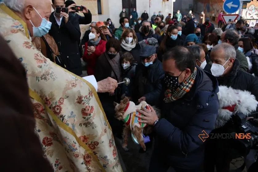 Bendición de animales por la festividad de San Antón. | FOTO: Marcos Vicente