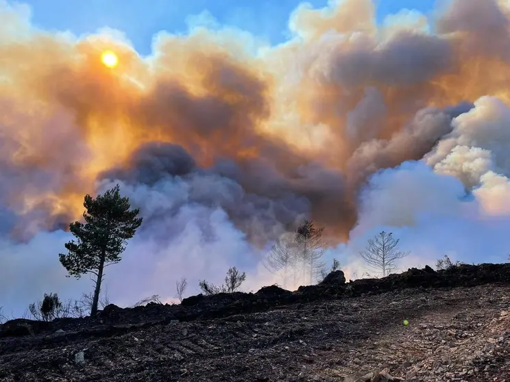 Foto fuego Hermisende @AT_Brif