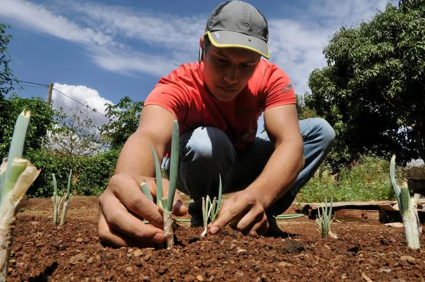 Agricultor. Foto de archivo